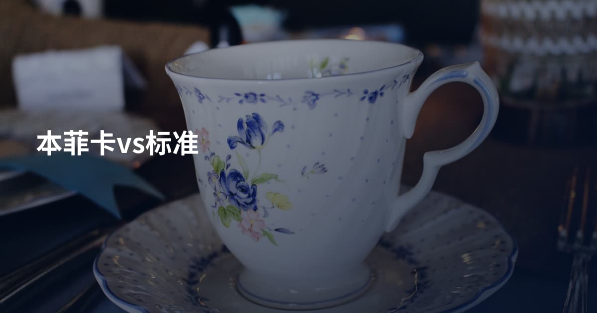 本菲卡vs标准