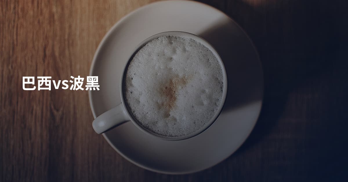 巴西vs波黑