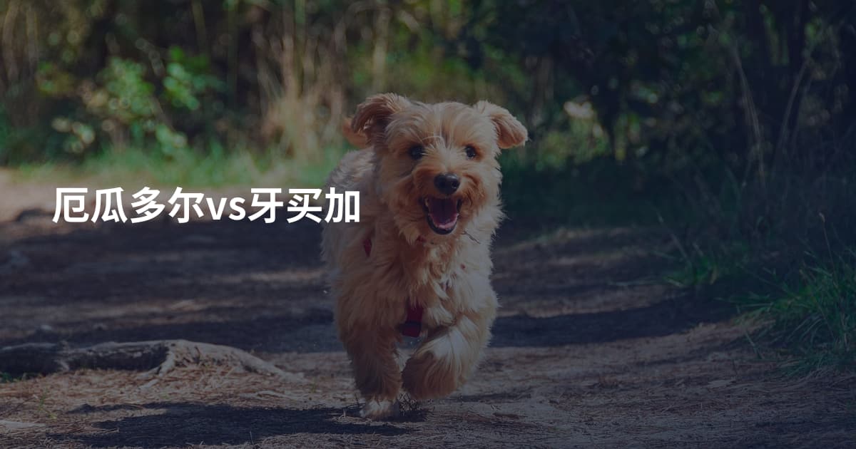 厄瓜多尔vs牙买加
