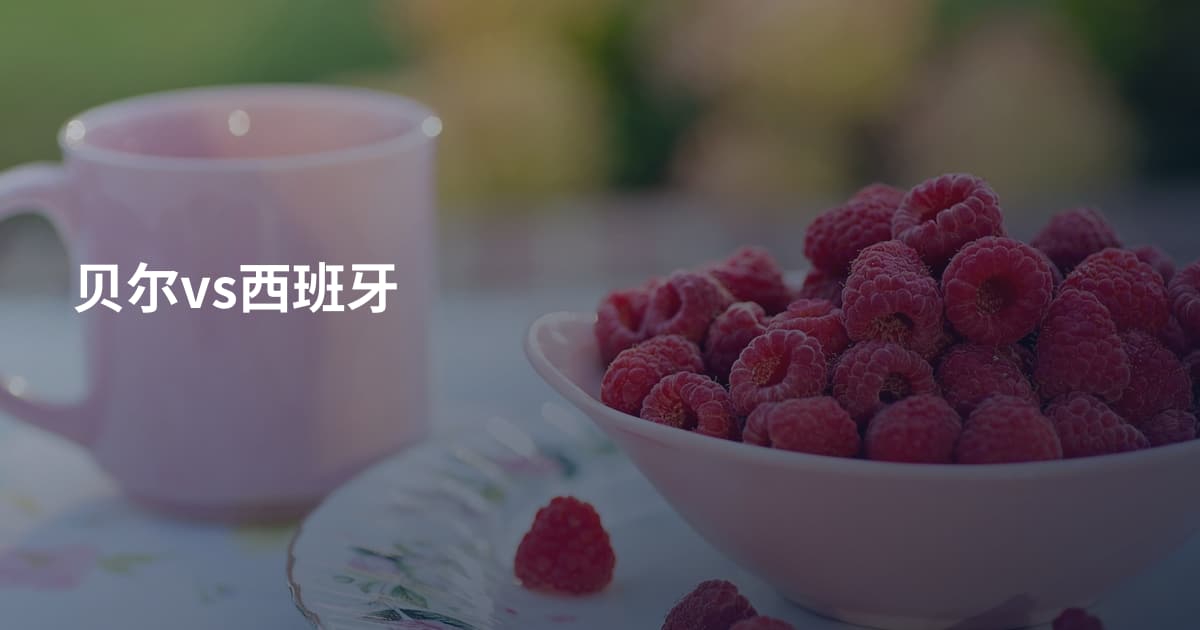 贝尔vs西班牙