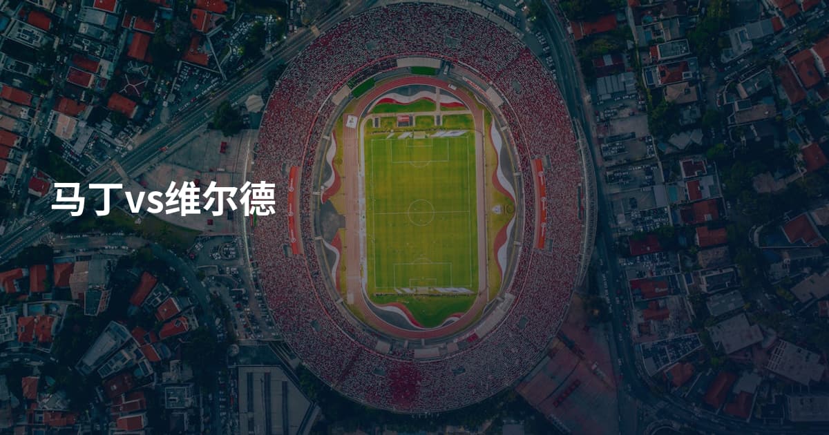 马丁vs维尔德