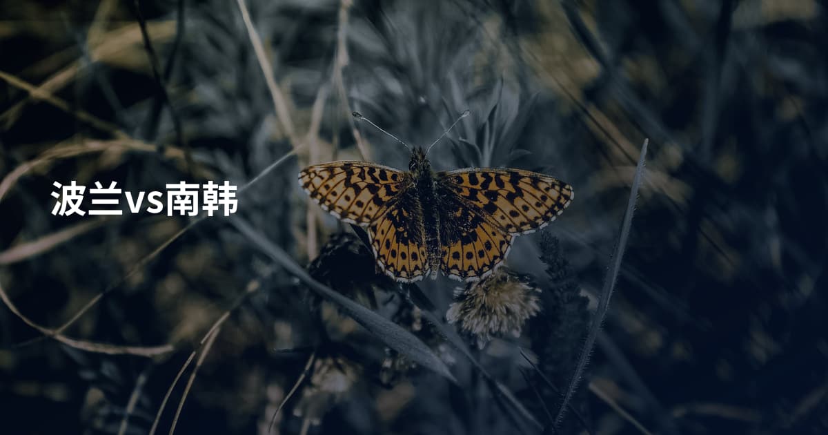 波兰vs南韩