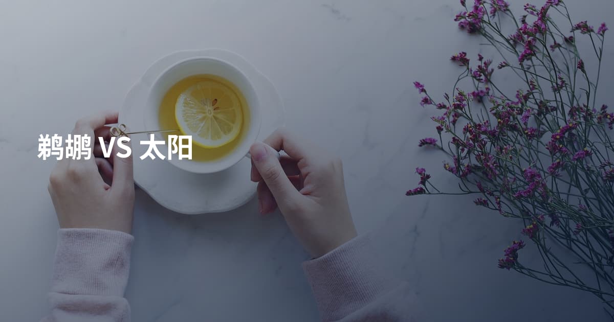 鹈鹕 VS 太阳