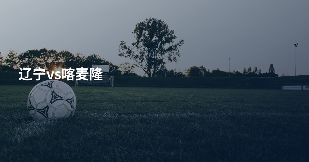 辽宁vs喀麦隆