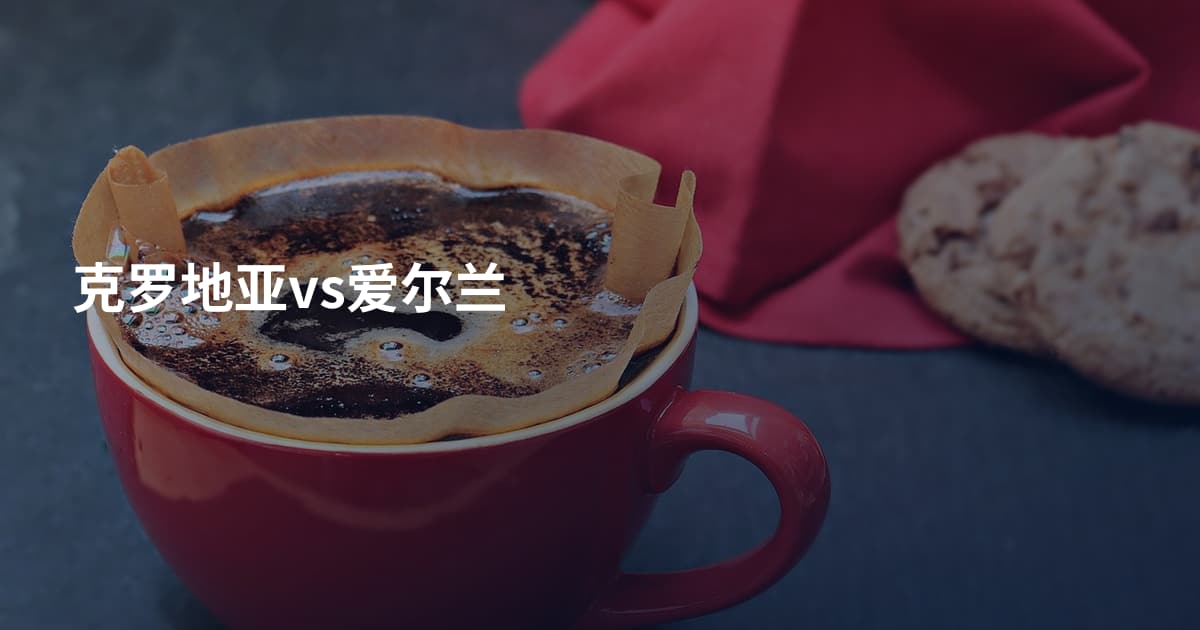 克罗地亚vs爱尔兰