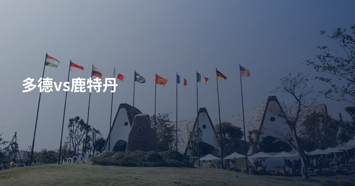 多德vs鹿特丹