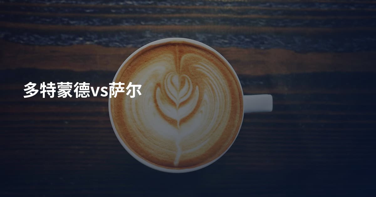 多特蒙德vs萨尔