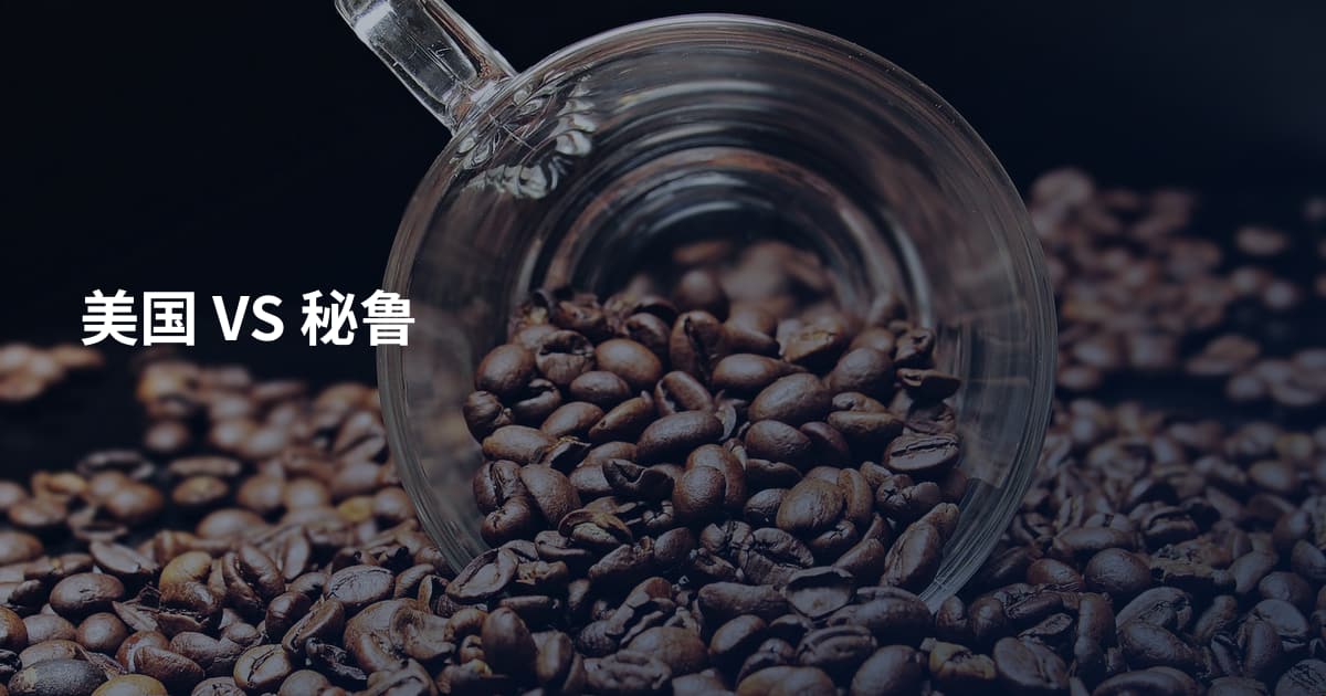 美国 VS 秘鲁