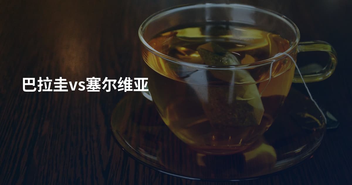 巴拉圭vs塞尔维亚