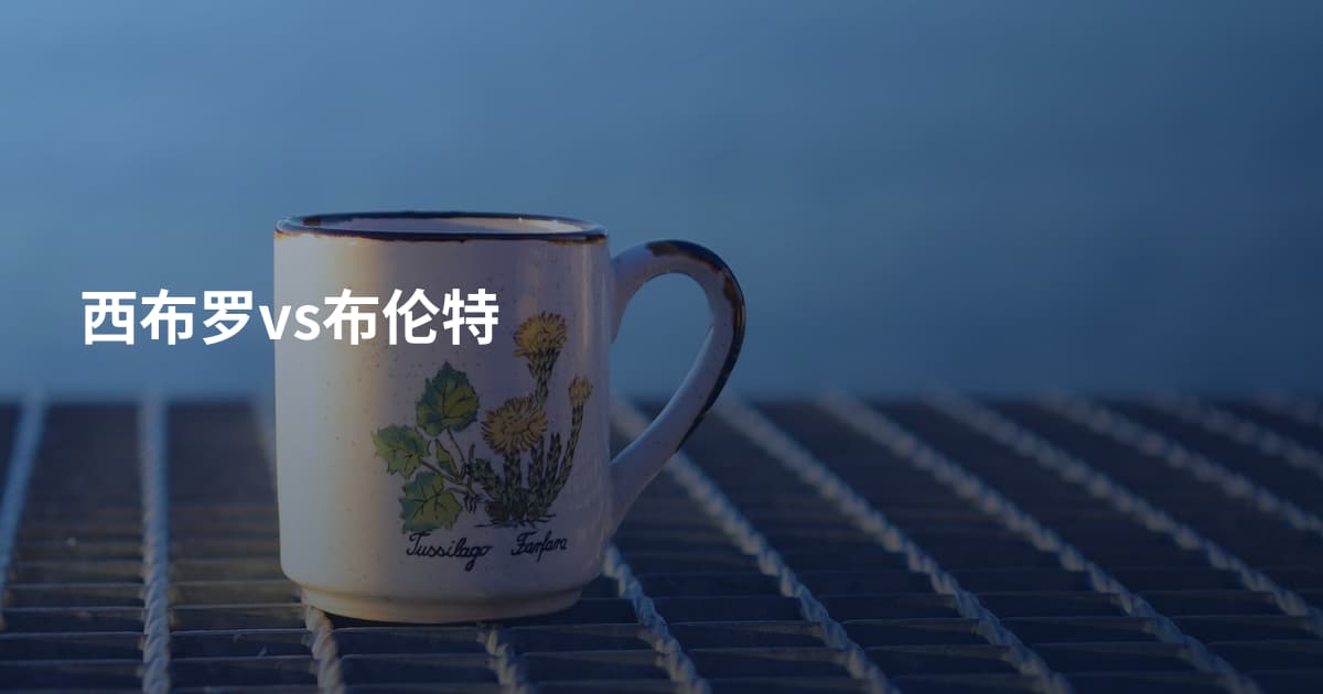 西布罗vs布伦特