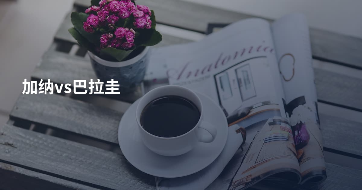 加纳vs巴拉圭