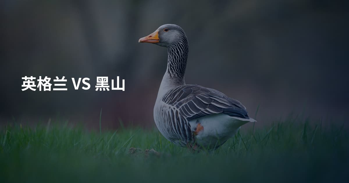 英格兰 VS 黑山