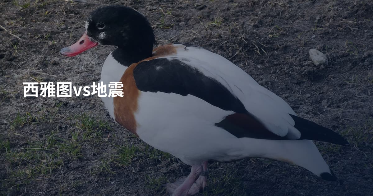 西雅图vs地震