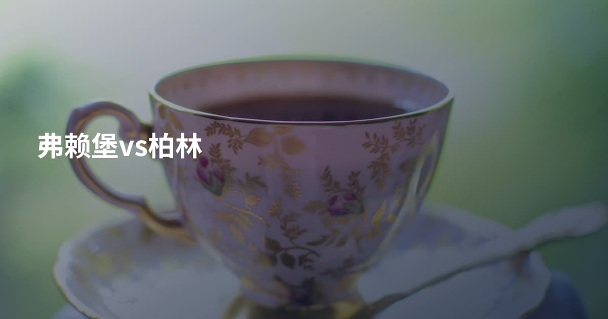 弗赖堡vs柏林