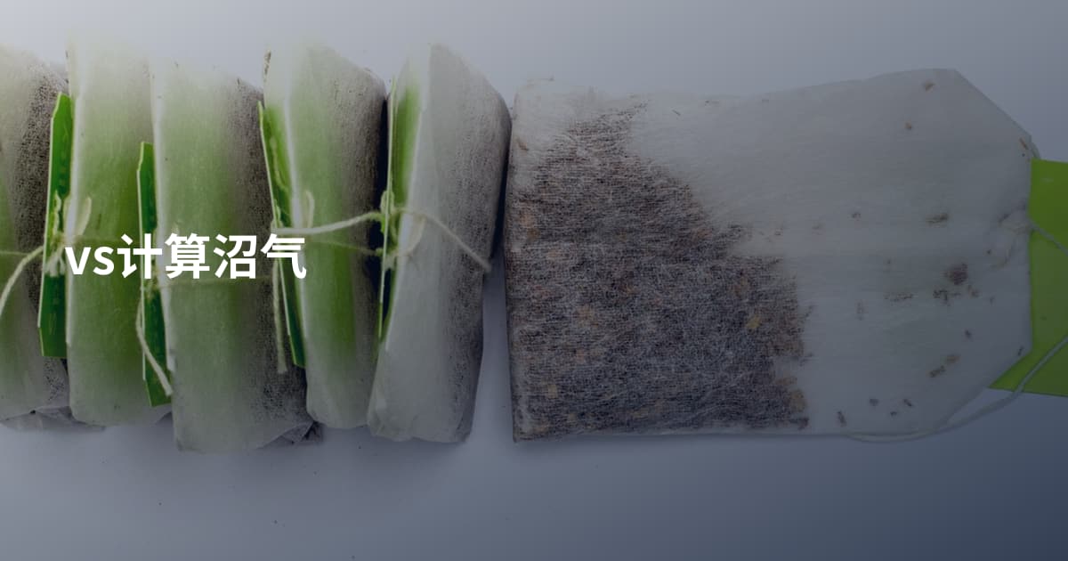 vs计算沼气