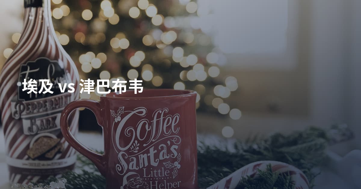 埃及 vs 津巴布韦