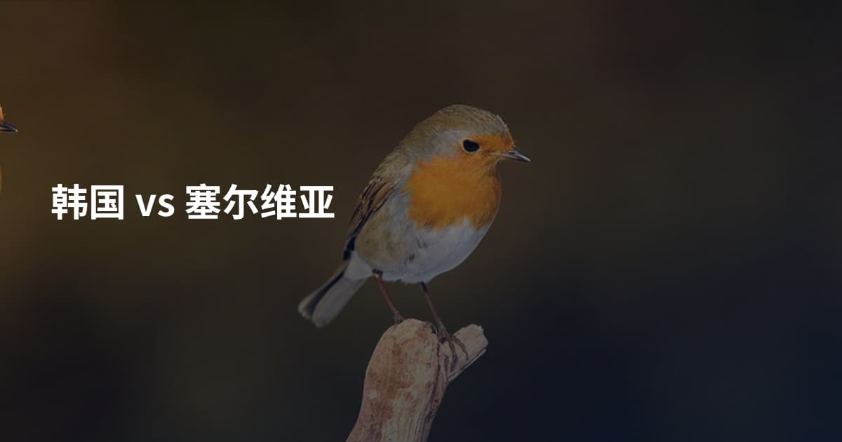 韩国 vs 塞尔维亚