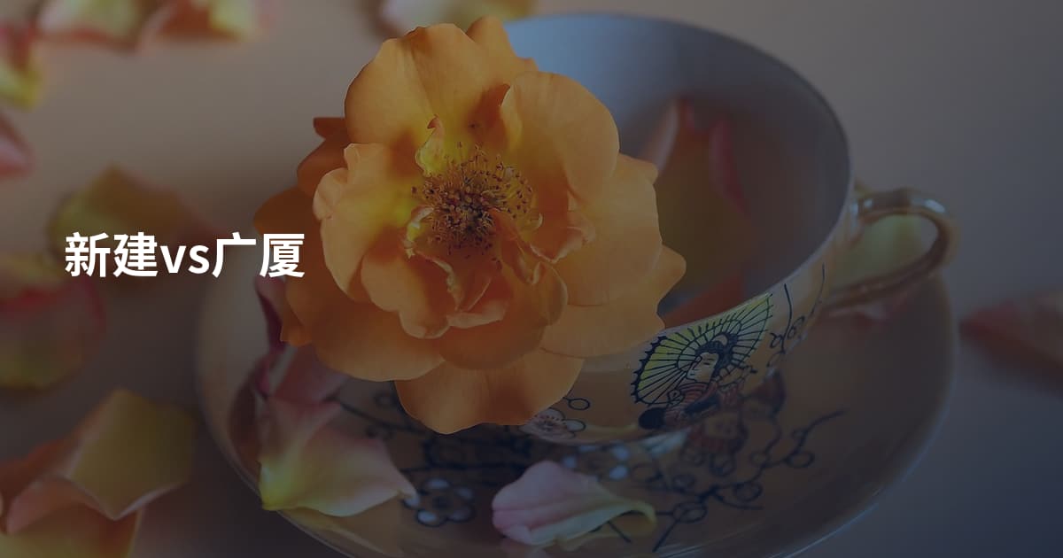 新建vs广厦
