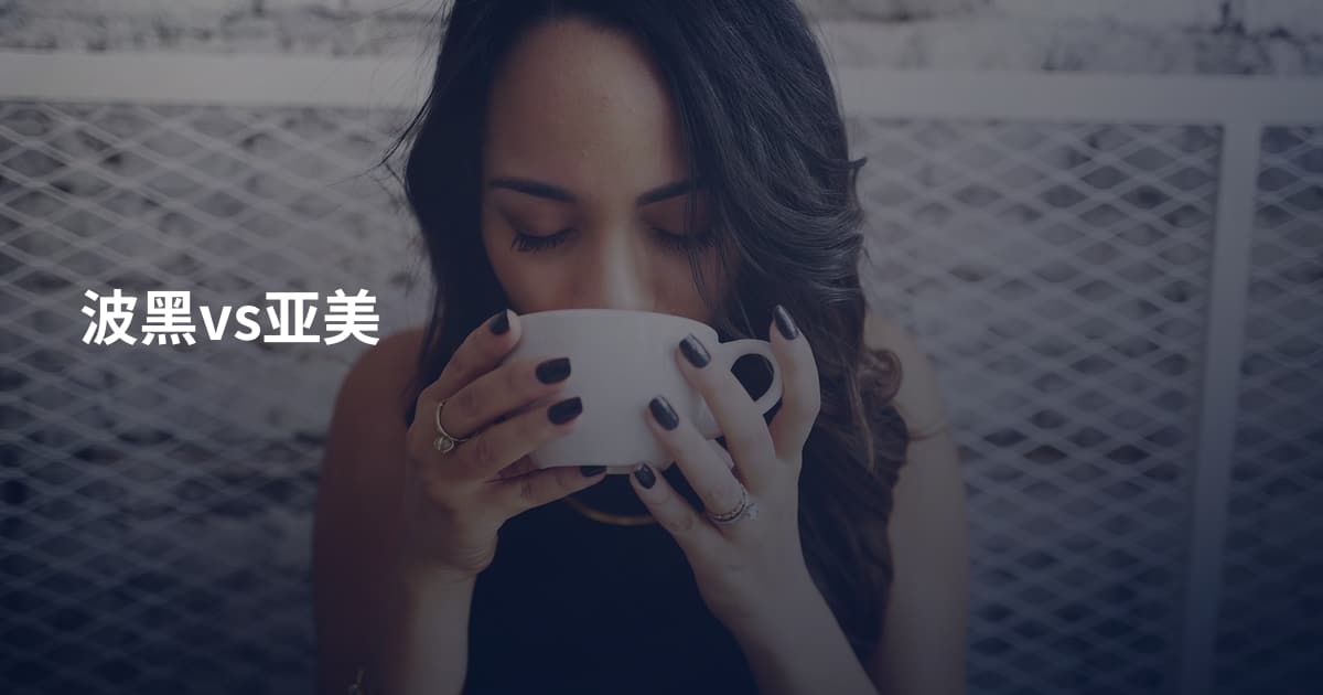 波黑vs亚美
