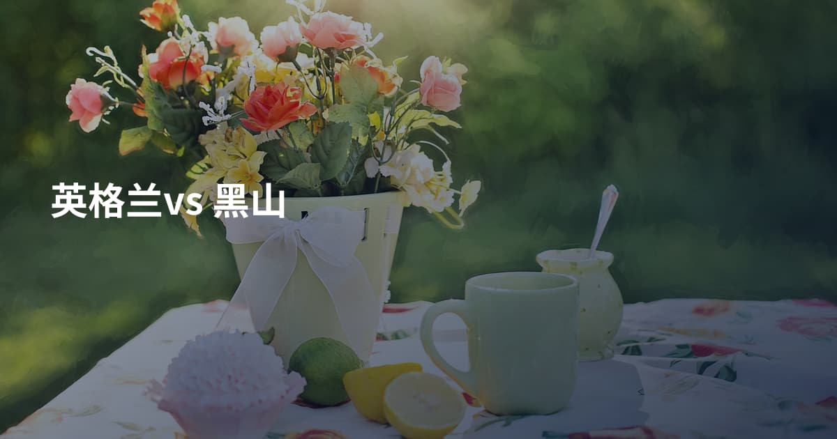 英格兰vs 黑山
