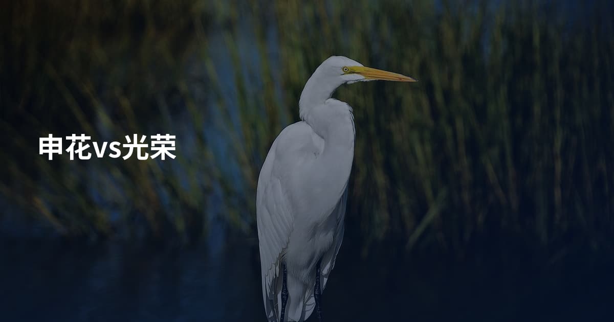 申花vs光荣