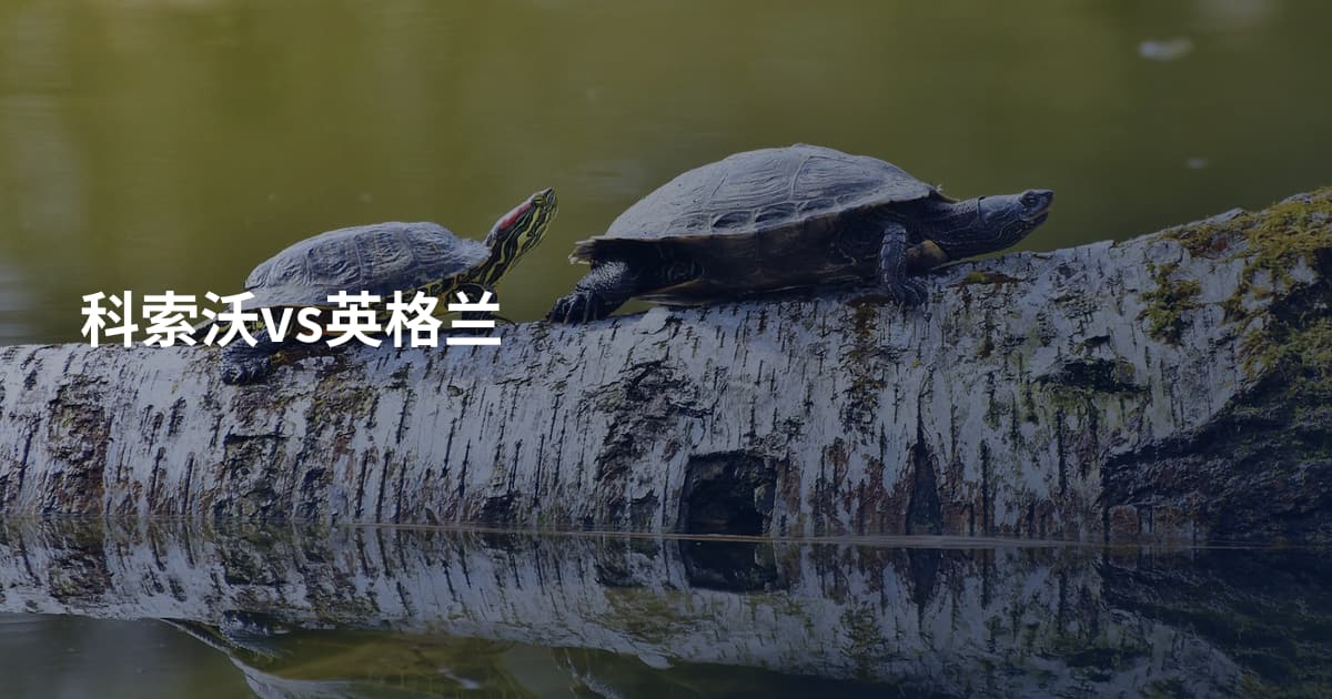 科索沃vs英格兰
