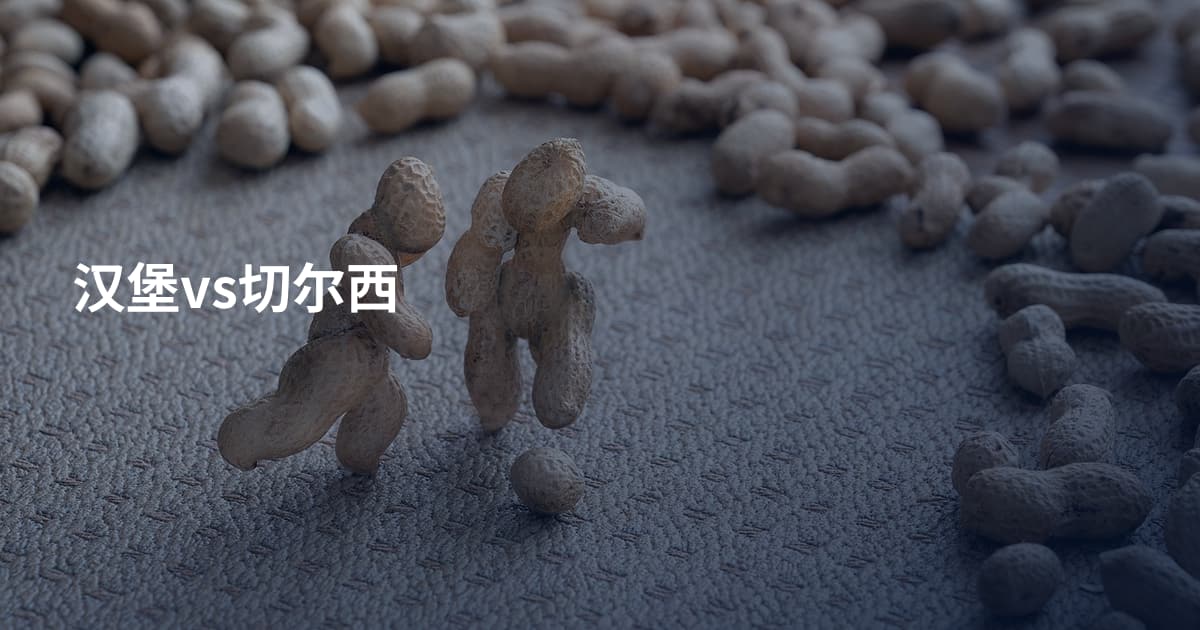 汉堡vs切尔西