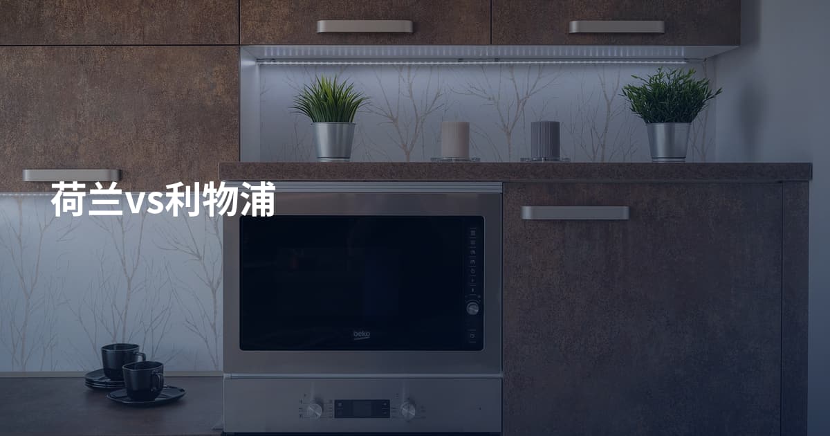 荷兰vs利物浦
