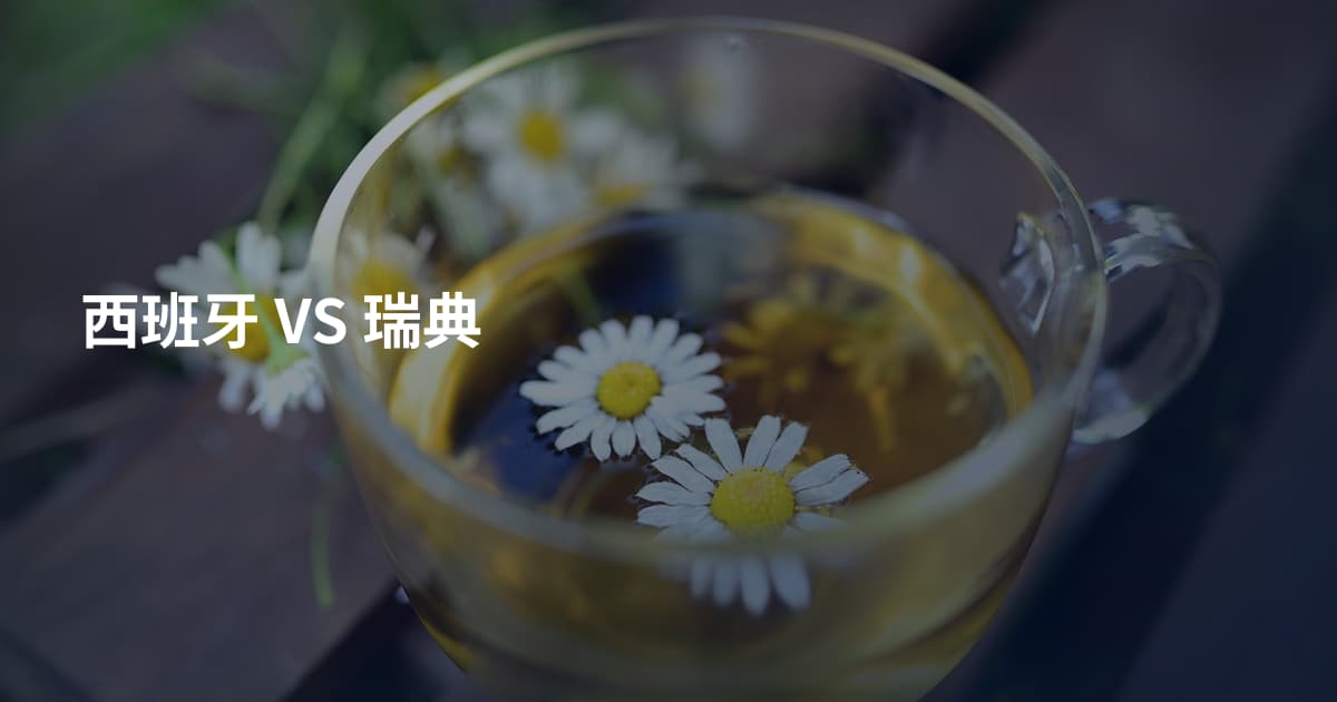 西班牙 VS 瑞典