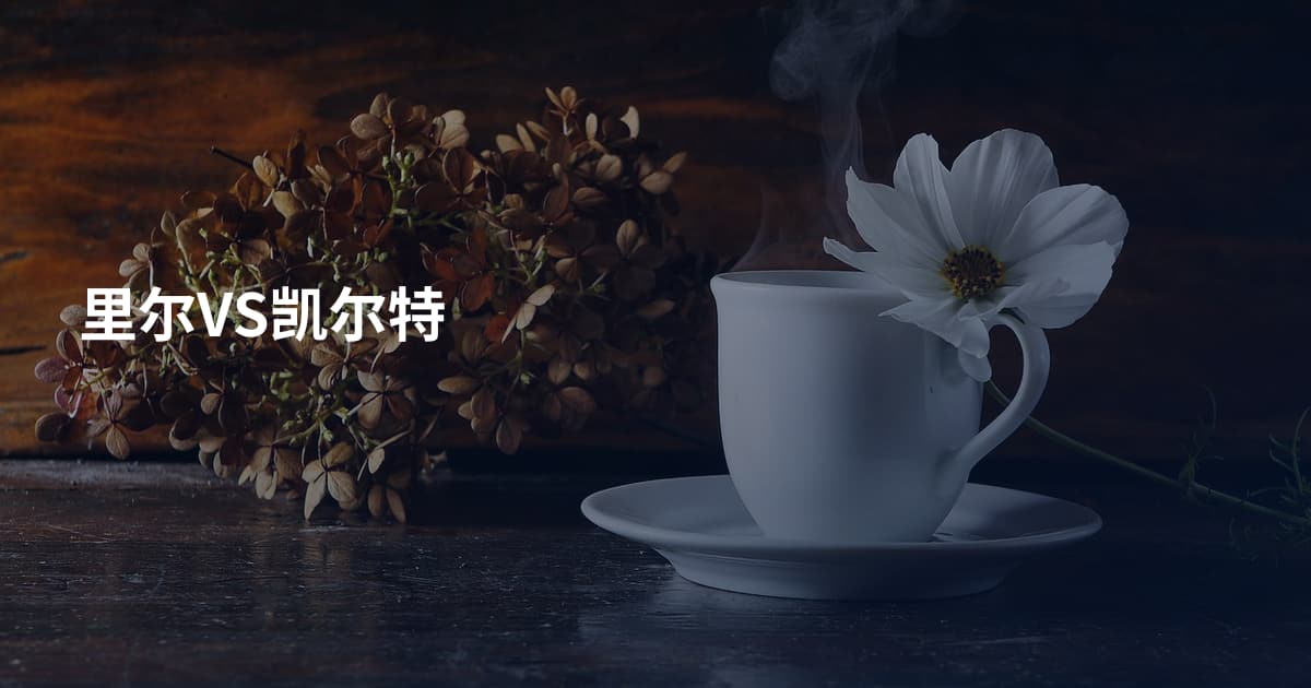 里尔VS凯尔特