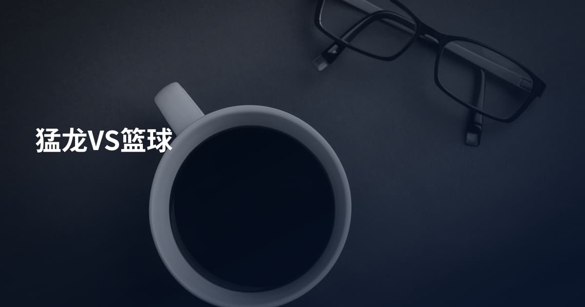 猛龙VS篮球