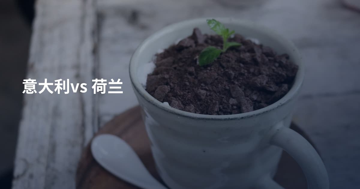 意大利vs 荷兰
