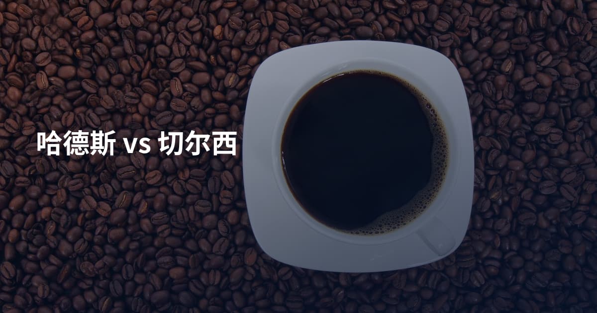 哈德斯 vs 切尔西