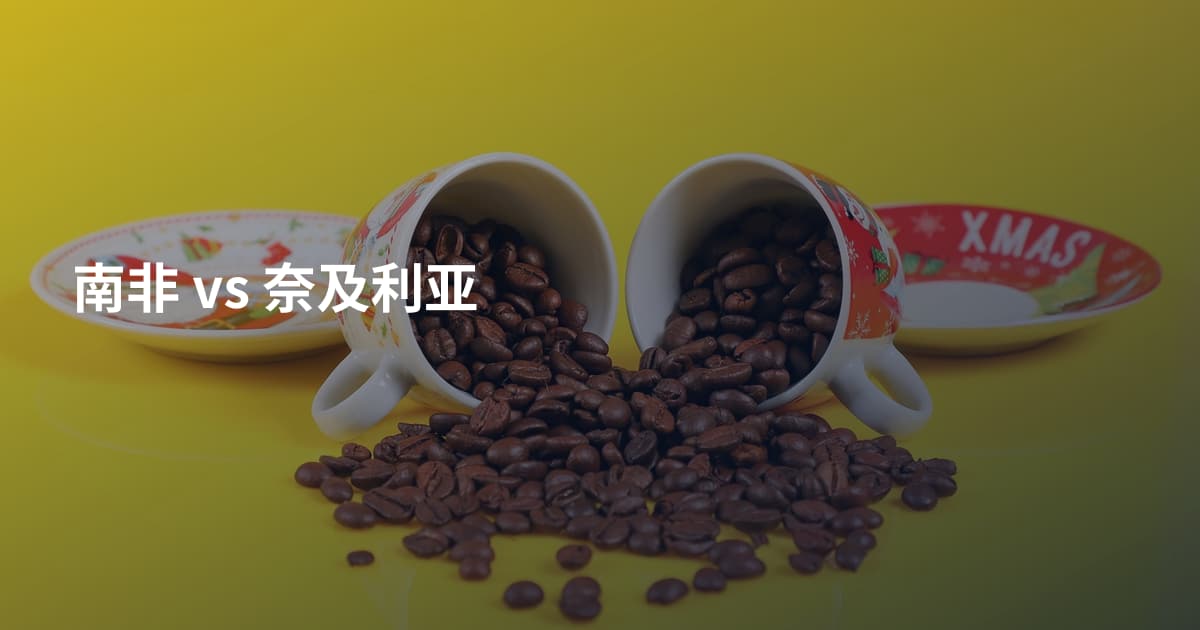 南非 vs 奈及利亚