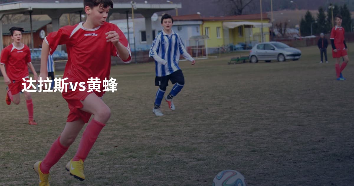 达拉斯vs黄蜂