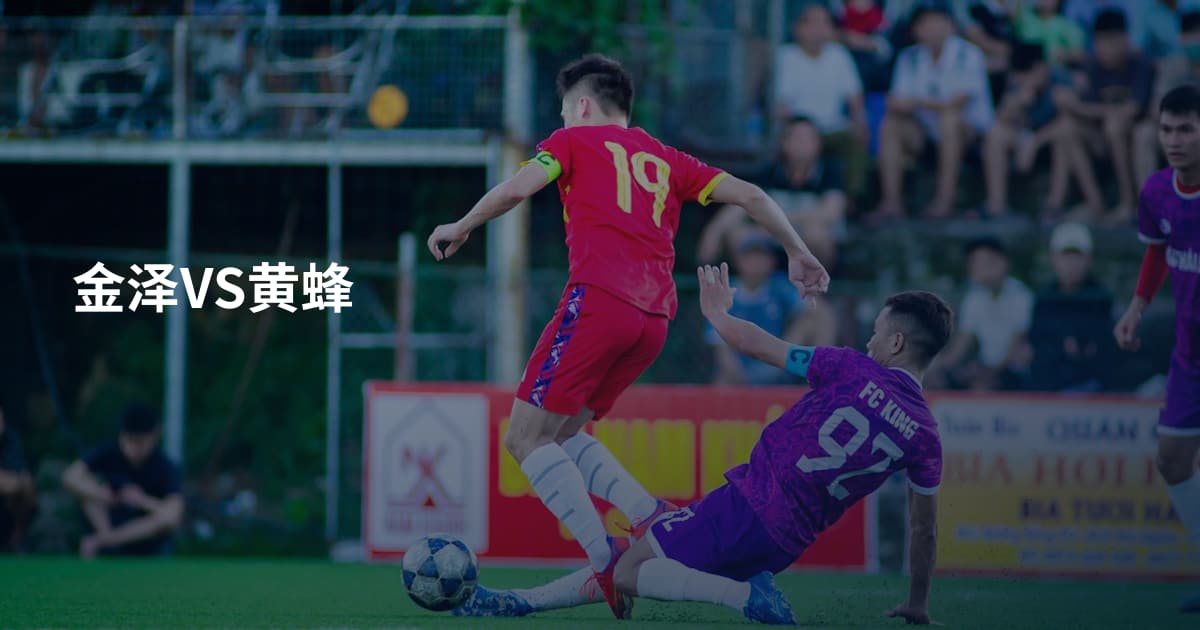 金泽VS黄蜂