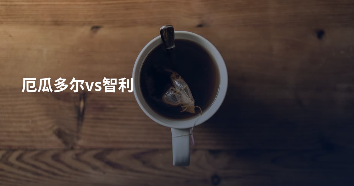 厄瓜多尔vs智利