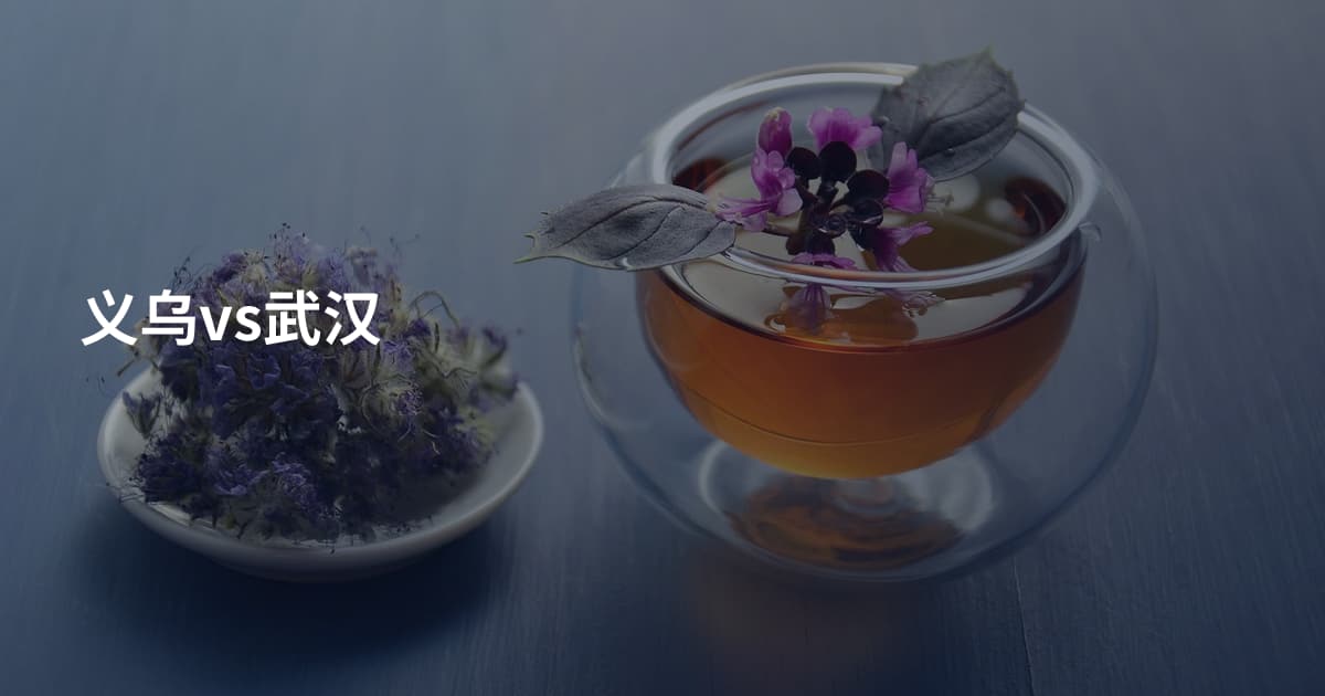 义乌vs武汉