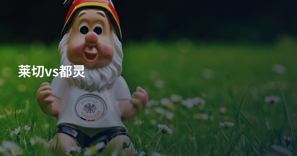 莱切vs都灵
