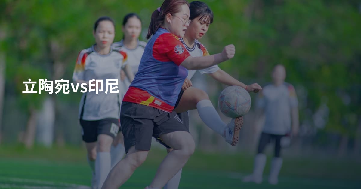 立陶宛vs印尼