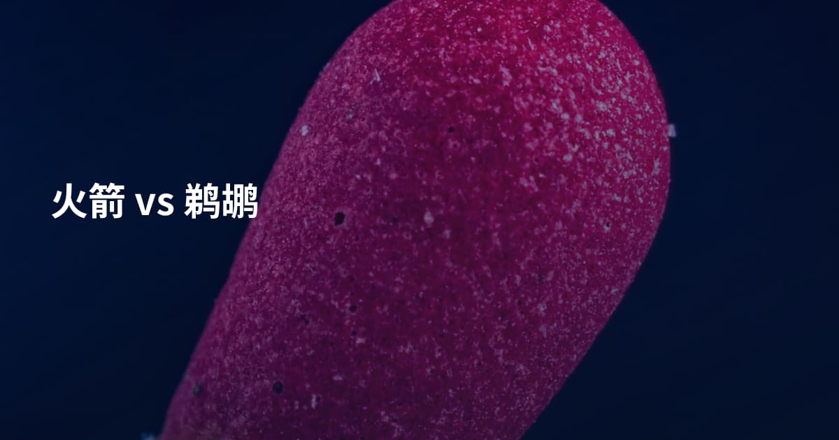火箭 vs 鹈鹕