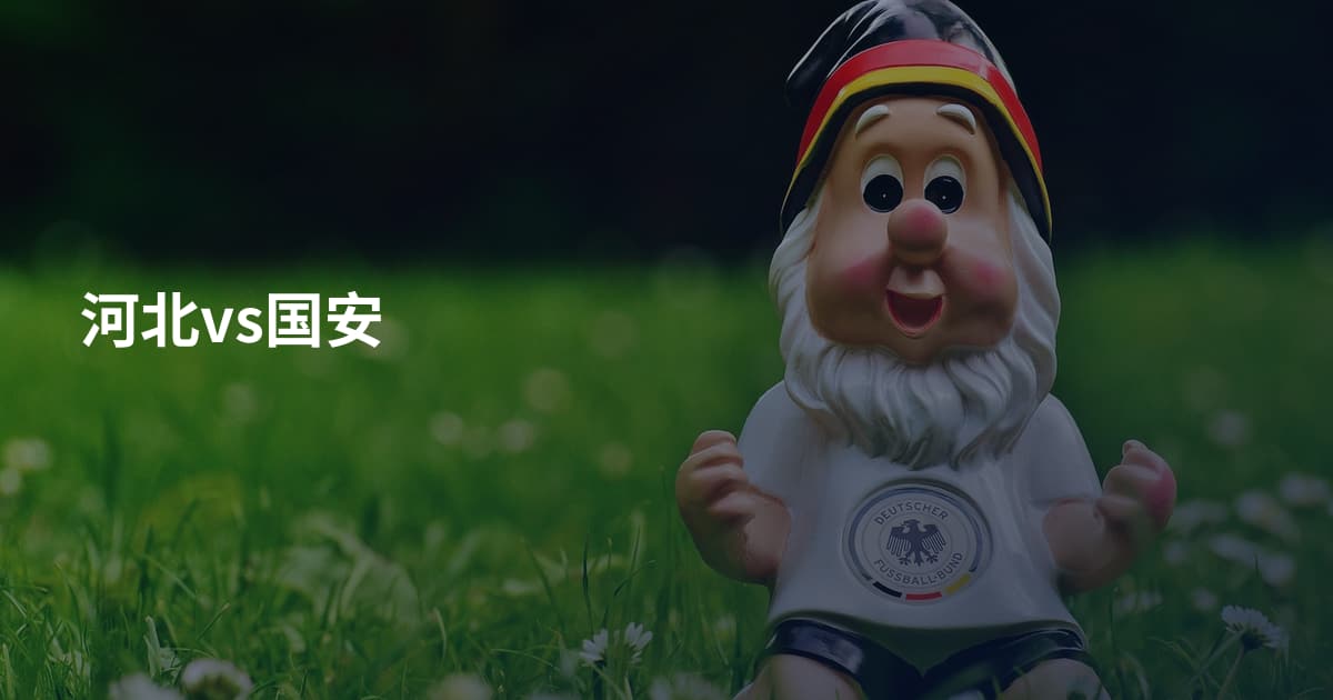 河北vs国安