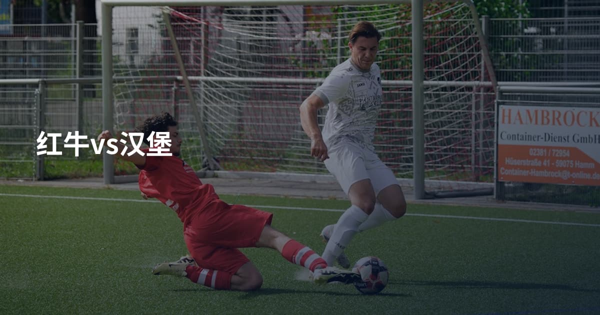 红牛vs汉堡