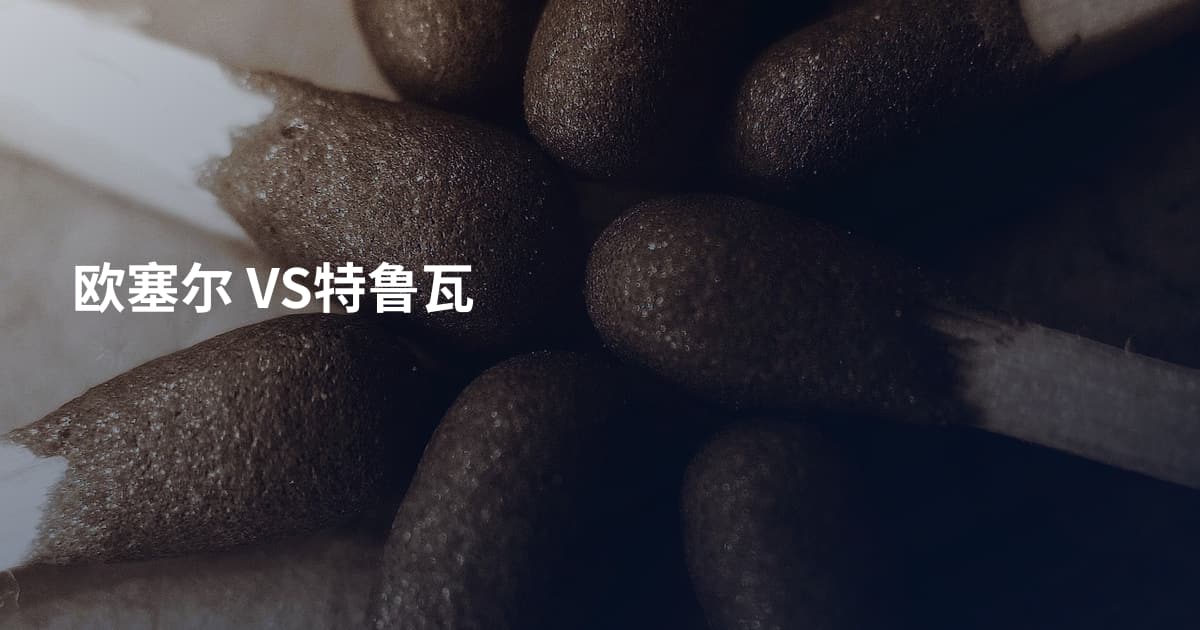 欧塞尔 VS特鲁瓦