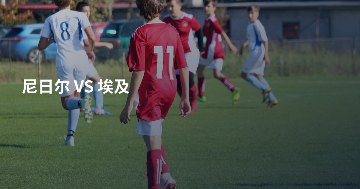 尼日尔 VS 埃及