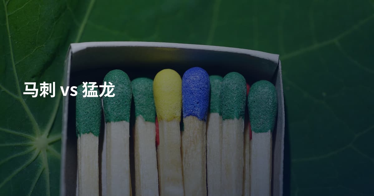 马刺 vs 猛龙