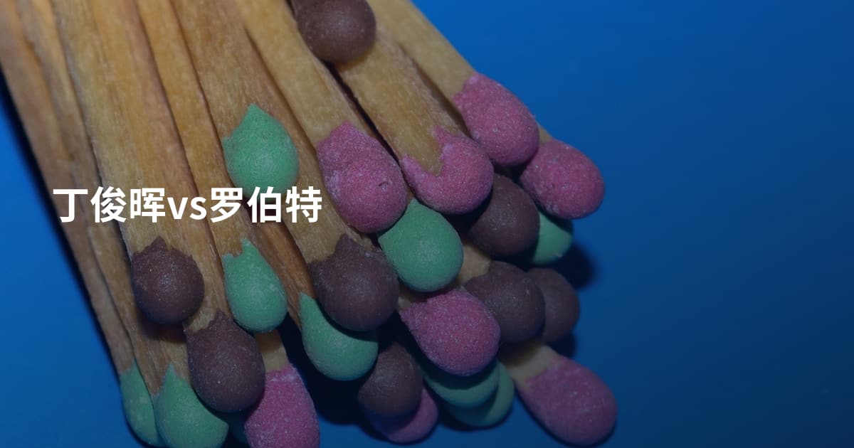 丁俊晖vs罗伯特