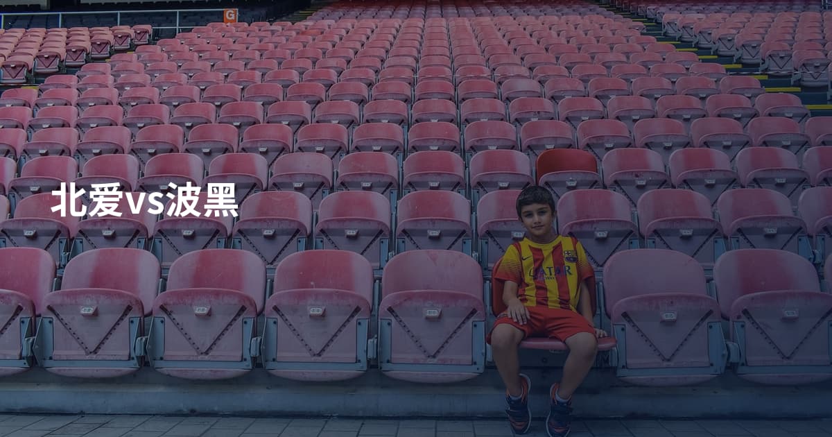 北爱vs波黑