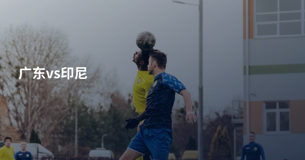 广东vs印尼