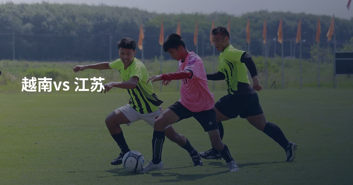 越南vs 江苏